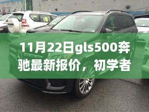 11月22日奔驰gls500最新报价，初学者与进阶用户购车指南