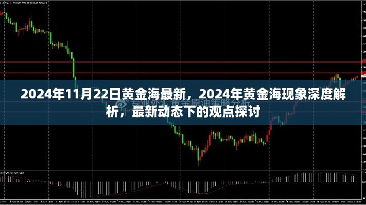 2024年黄金海现象深度解析与最新动态观点探讨