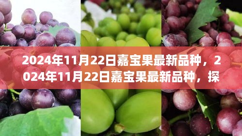 探索未来果树新篇章，嘉宝果新品种揭秘与前瞻（2024年最新资讯）