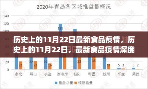 历史上的11月22日食品疫情深度解析与最新动态