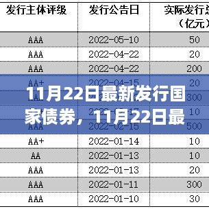 11月22日最新国家债券发行深度解析及市场影响探讨