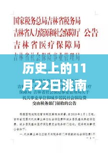 历史上的11月22日，洮南二手房市场开启新篇章，最新市场动态速递