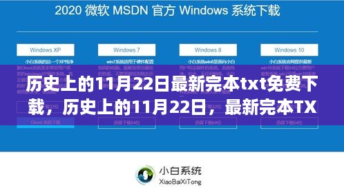 历史上的11月22日，最新完本TXT小说免费下载全攻略