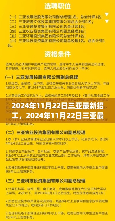 2024年三亚最新招工信息汇总与职业机遇展望