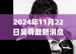 吴尊最新动态揭秘，2024年11月22日的超级更新揭秘