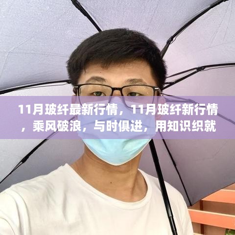 11月玻纤行情动态，乘风破浪，知识织就成功之路