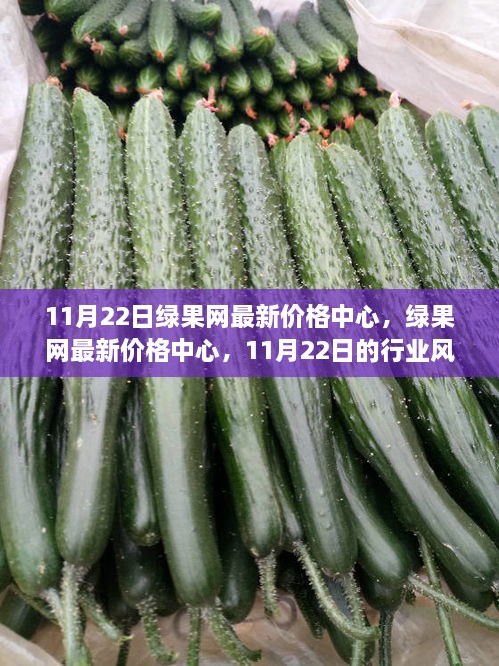 11月22日绿果网最新价格中心，行业风向标