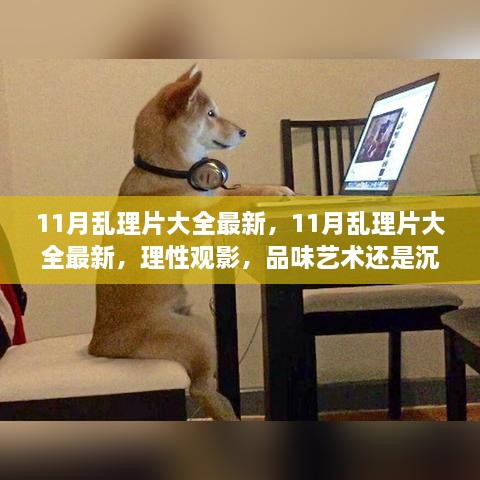 理性观影与品味艺术，探索最新11月乱理片大全