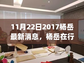 杨岳最新动态深度解析，行动中的影响力（2017年11月22日版）