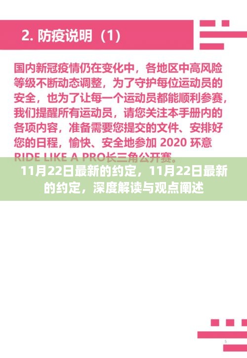 深度解读与观点阐述，11月22日最新约定的全面剖析