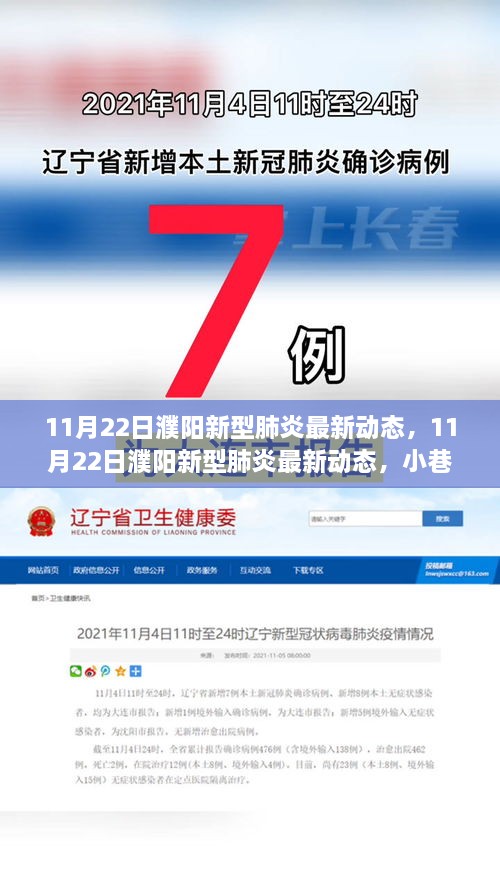 11月22日濮阳新型肺炎最新动态及小巷深处的特色小店揭秘