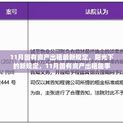 11月国有资产出租新规定揭秘，阳光下的趣事与规范操作