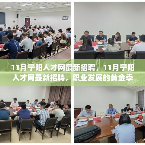 11月宁阳人才网最新招聘，职业发展的黄金季节