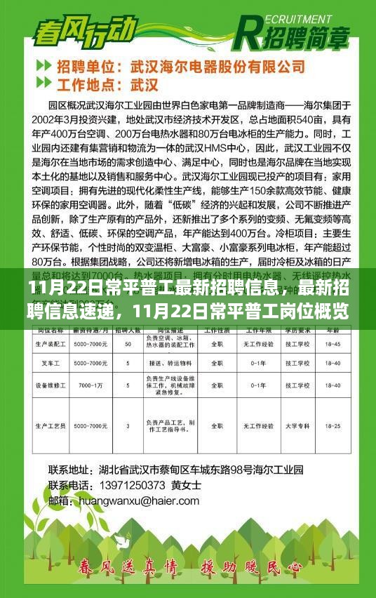 11月22日常平普工最新招聘信息速递与岗位概览