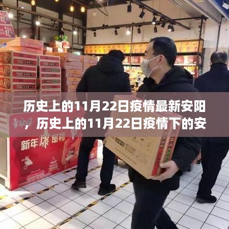 历史上的11月22日，安阳疫情下的观点阐述与深度解析