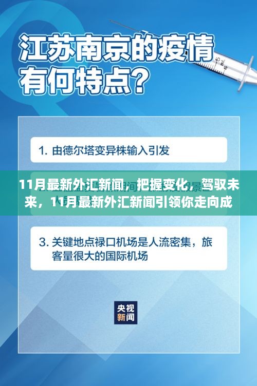 11月最新外汇新闻，引领把握变化，驾驭未来成功之路