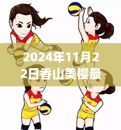 香山美樱盛开之际，最新动态与深度解读（2024年11月22日版）