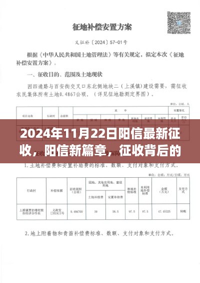 阳信最新征收背后的故事与影响，新篇章开启于2024年11月2 2日