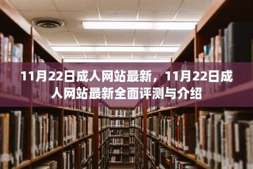 11月22日成人网站最新，11月22日成人网站最新全面评测与介绍