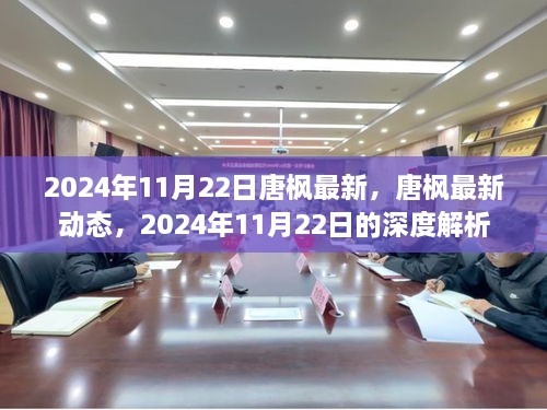 唐枫最新动态及深度解析，2024年11月22日更新报告