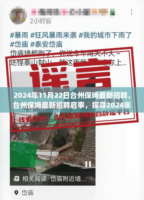 探寻职业机遇与挑战，台州保姆最新招聘启事（2024年11月）