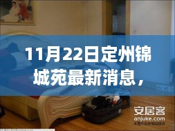 定州锦城苑最新动态深度解读与分析，11月22日更新消息