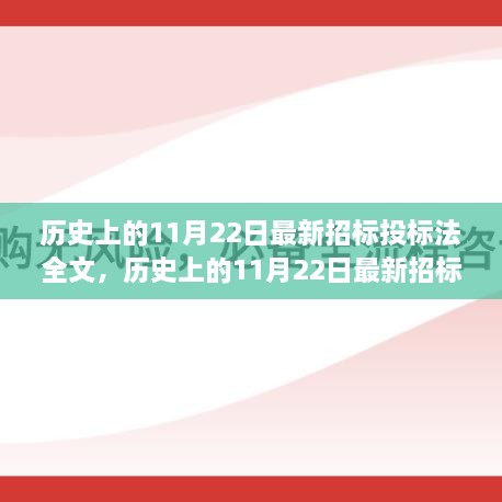 历史上的11月22日最新招标投标法解读与探讨，全文及其观点探讨