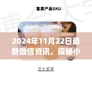 探秘特色小店，微信资讯带你领略小巷深处的隐藏瑰宝（2024年11月22日最新资讯）