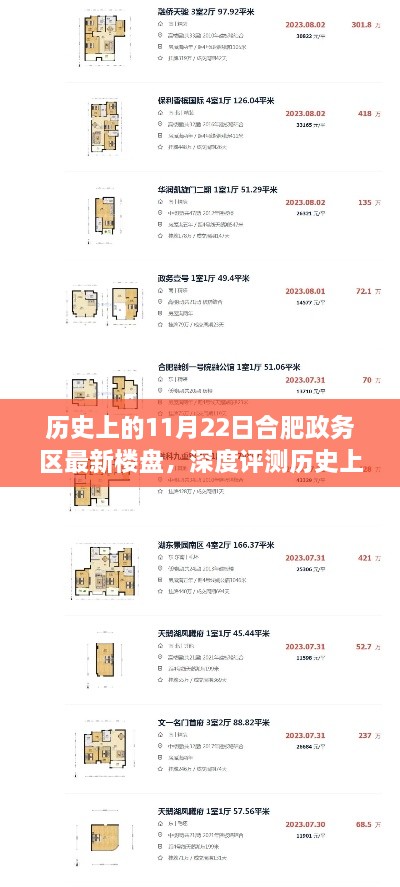 历史上的11月22日合肥政务区最新楼盘深度解读与评测报告