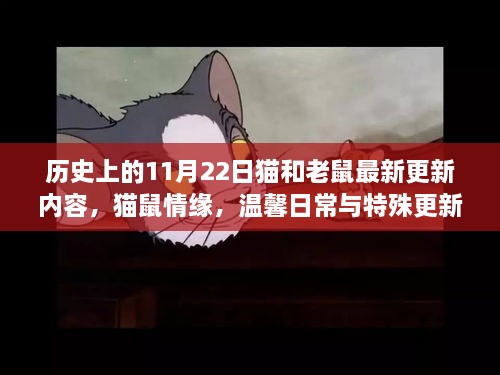 猫鼠情缘，历史上的11月22日最新更新与温馨日常奇妙冒险