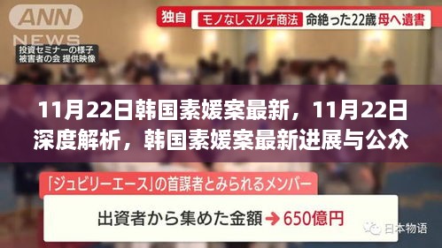 11月22日韩国素媛案最新，11月22日深度解析，韩国素媛案最新进展与公众反响