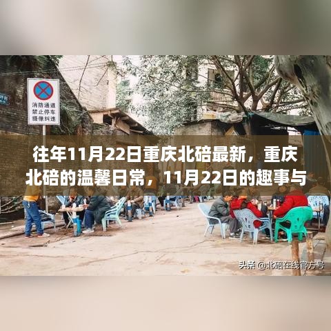 重庆北碚温馨日常，11月22日的趣事与陪伴