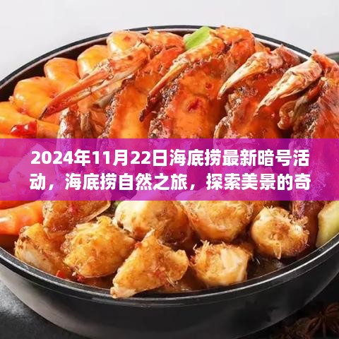 2024年11月22日海底捞最新暗号活动，海底捞自然之旅，探索美景的奇妙暗号活动