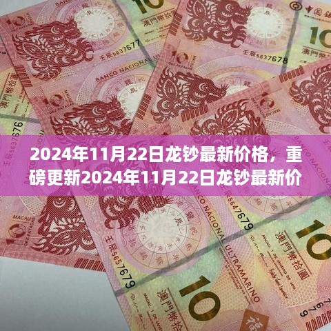 揭秘，2024年11月22日龙钞最新价格与市场走势分析