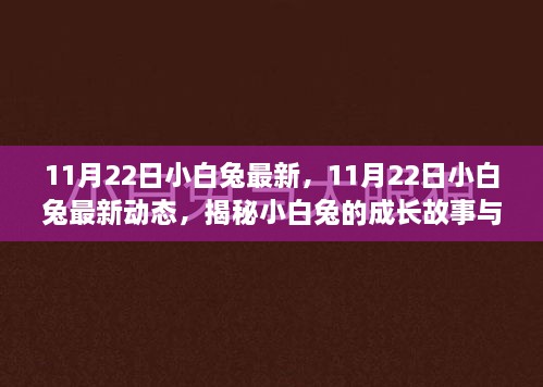 揭秘小白兔成长故事与独特魅力，最新动态与成长历程回顾（附日期）