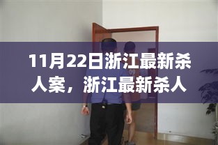 浙江最新杀人案深度分析与评估，11月22日事件反思与探讨