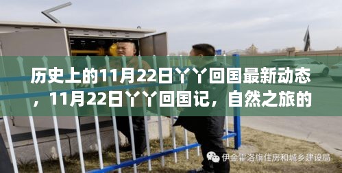 丫丫回国记，历史性的11月22日，自然之旅的温馨回归