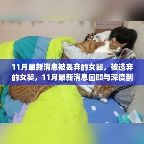 被遗弃的女婴事件回顾与深度剖析，最新消息与关注焦点（11月最新更新）