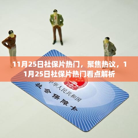 11月25日社保片热门看点解析，聚焦热议话题