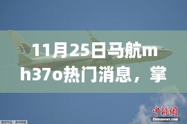 11月25日马航MH370最新消息解读与应对步骤指南，掌握资讯，掌握命运