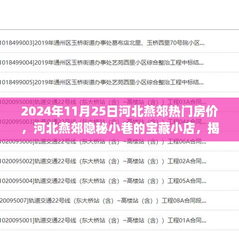 揭秘河北燕郊隐秘小巷宝藏小店与热门房价的别样风情（2024年11月）
