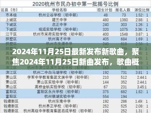 2024年11月25日新曲发布概览与深度分析