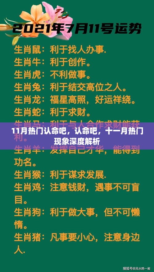 十一月热门现象深度解析，认命吧，背后的真相与启示