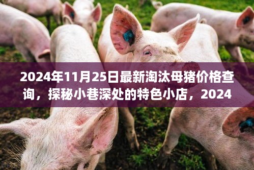 探秘特色小店，最新淘汰母猪价格一览（2024年11月）