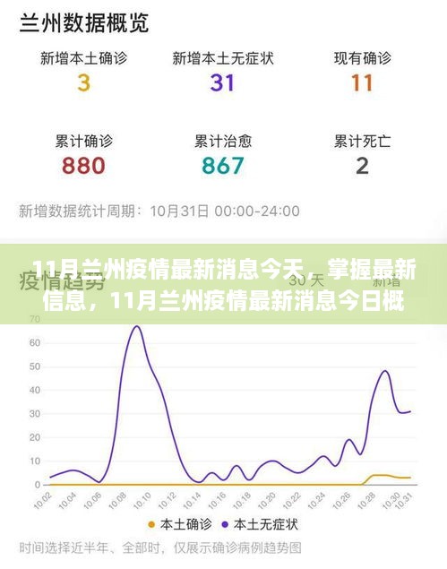 11月兰州疫情最新消息今日概览，掌握最新信息及应对策略指南