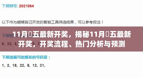 揭秘11月棑五最新开奖，流程、热门分析与预测报告揭晓！