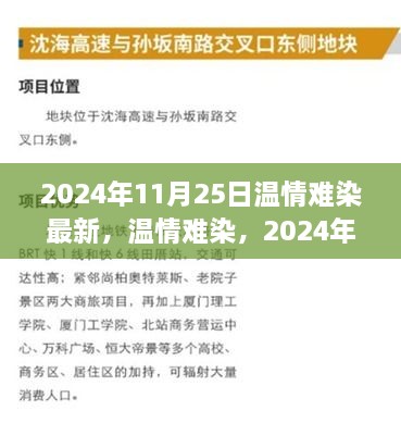 温情难染，2024年11月25日的特别感悟