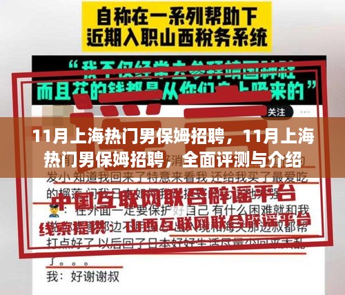 11月上海热门男保姆招聘，11月上海热门男保姆招聘，全面评测与介绍