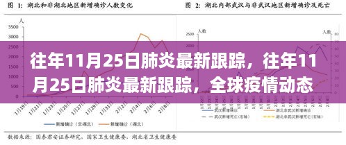 全球疫情动态，往年11月25日肺炎最新跟踪与应对策略分析