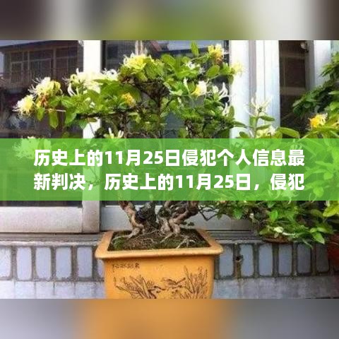 历史上的11月25日侵犯个人信息重大判决，彰显法律威严与保护个人隐私权益的坚定立场，简洁明了地概括了您所提供的内容的核心要点，突出了侵犯个人信息这一事件的历史意义和法律威严的体现。希望符合您的要求。